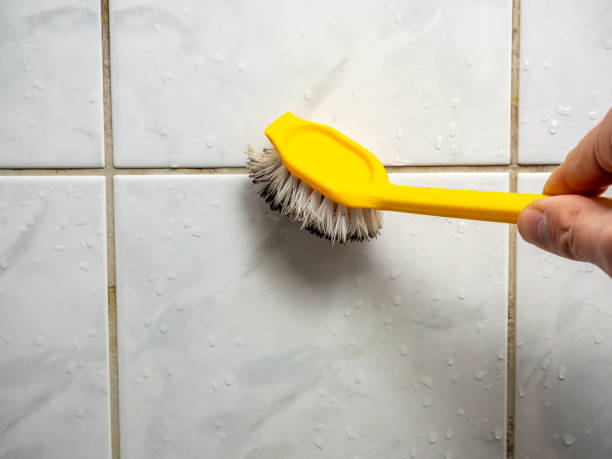 Best Mold Removal Near Me  in Wood River, NE