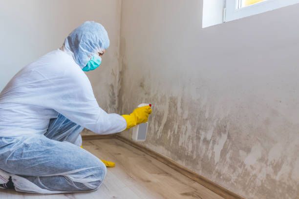 Crawl Space Mold Removal in Wood River, NE