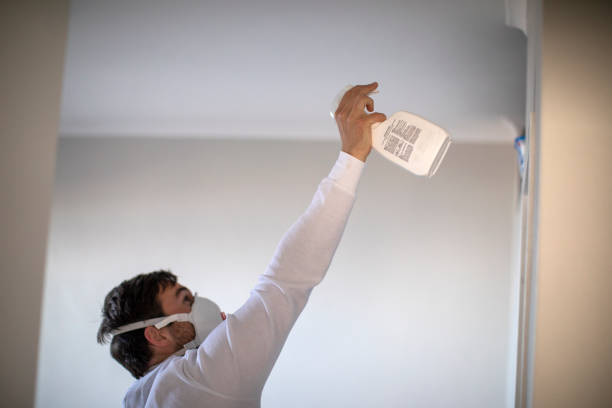 Best Affordable Mold Removal  in Wood River, NE