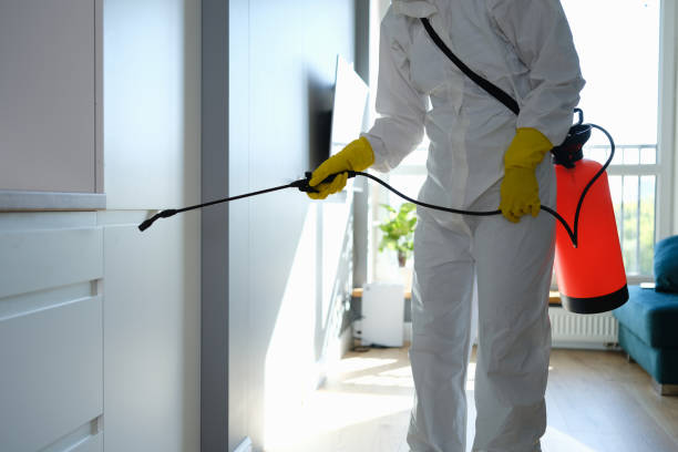 Best Crawl Space Mold Removal  in Wood River, NE